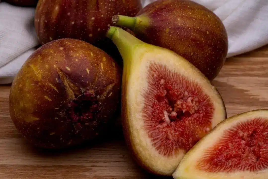 shutterstock_1440500396-smokva-resize