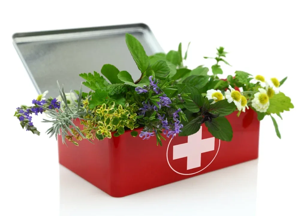 Fresh,Herbs,In,First,Aid,Kit