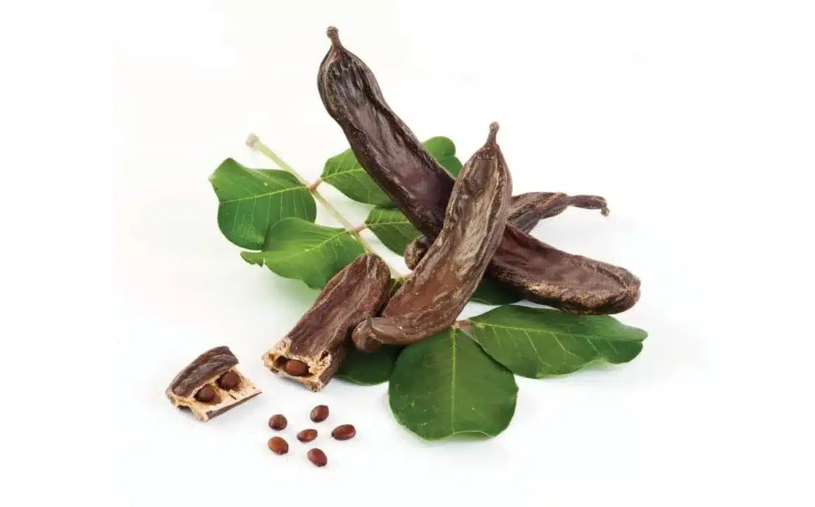 shutterstock_497260120