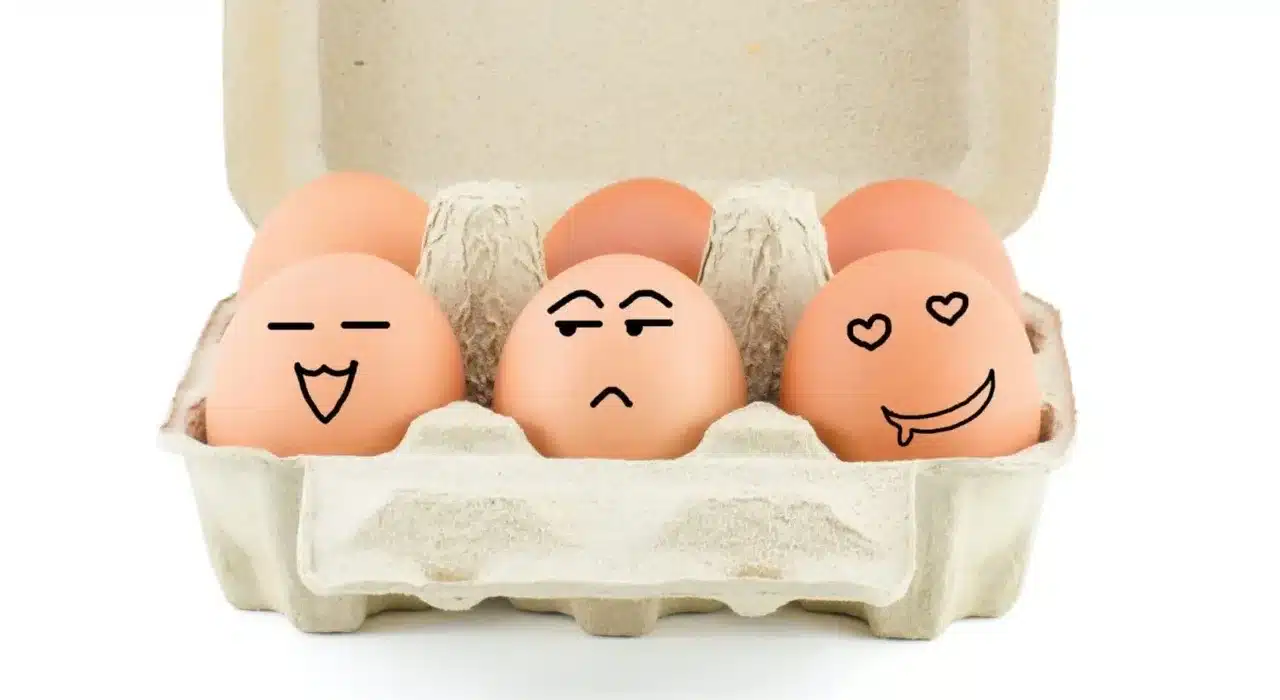 teror-pozitivnog-5-e1484502192795