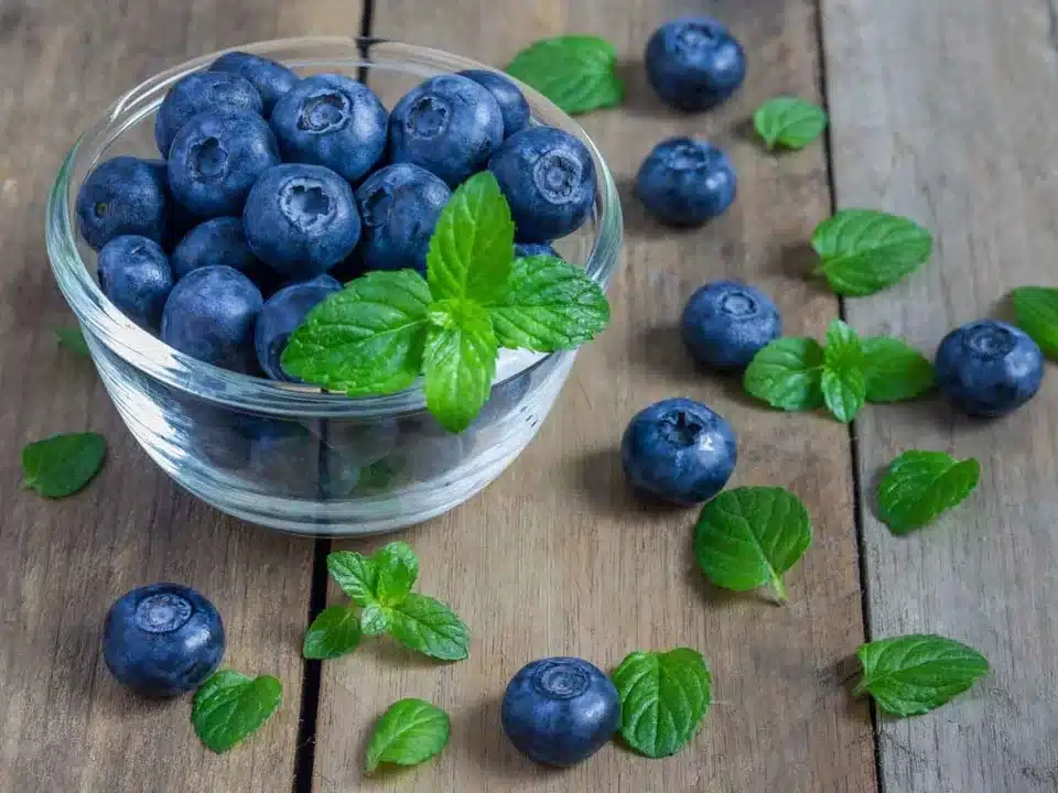 top-20-foods-blueberries