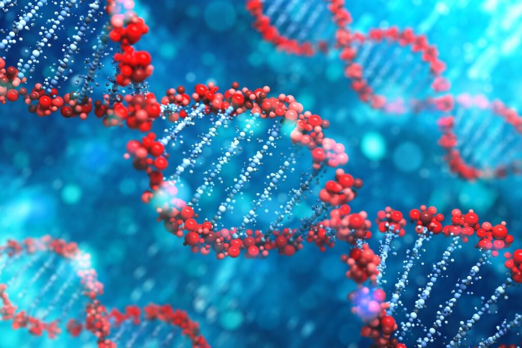 telomere